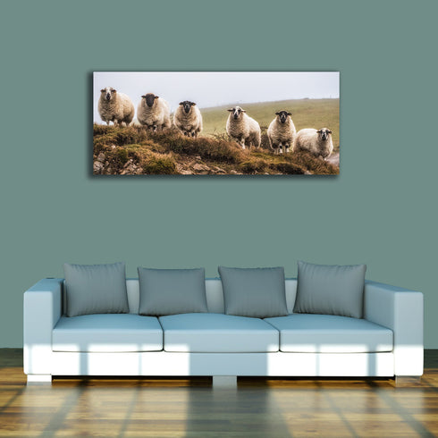 PANORAMIC - THE NOLANS - 1.2m x 50cm